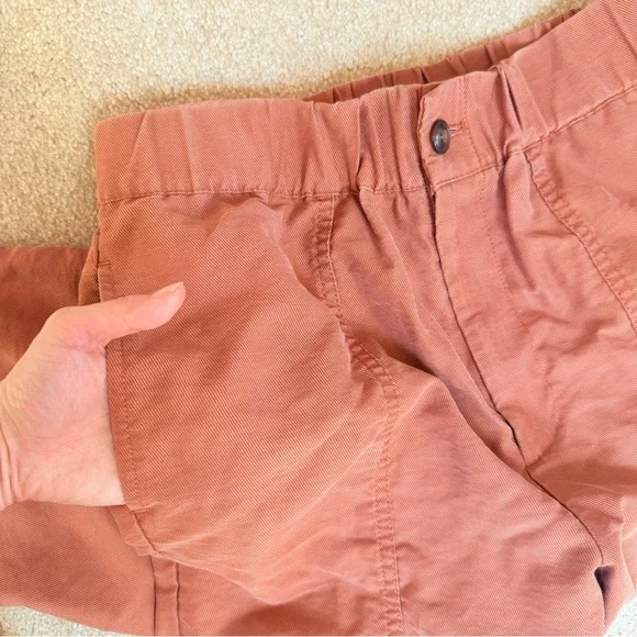 Madewell Tapered Huston Pull-On Crop Pants Burnt Clay Small - Picture 9 of 11